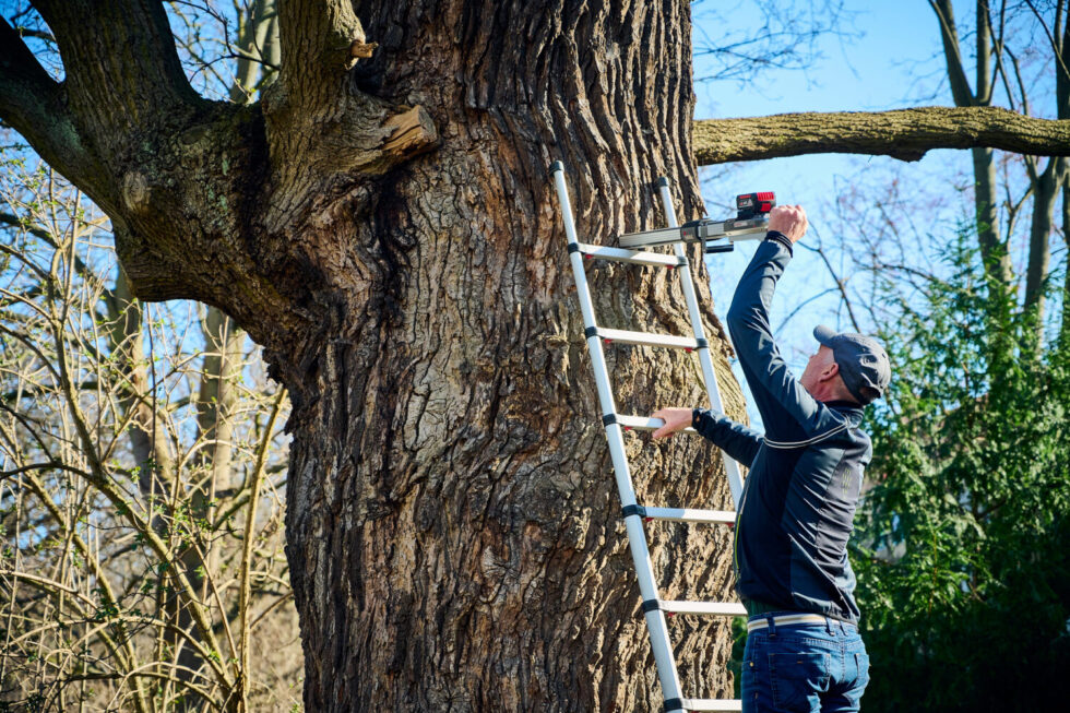 Social Media Fotos für den Baumsachverständigen Wolfram Lux, Professionelle Businessfotografie, Business Portraits, Business Headshots, ©Foto: Dieter Duevelmeyer