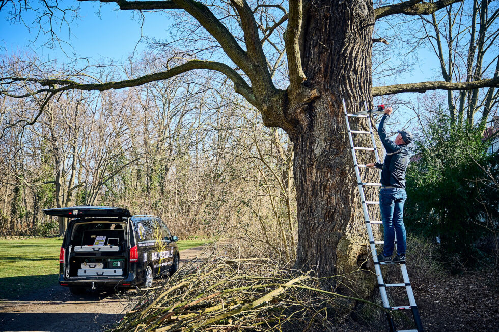 Social Media Fotos für den Baumsachverständigen Wolfram Lux, Professionelle Businessfotografie, Business Portraits, Business Headshots, ©Foto: Dieter Duevelmeyer