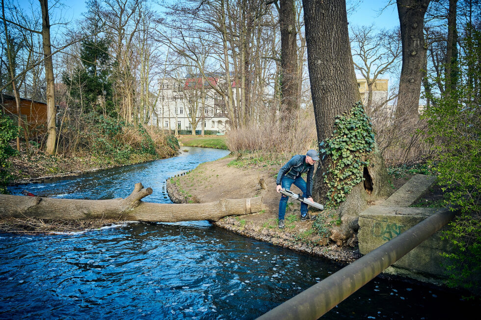 Social Media Fotos für den Baumsachverständigen Wolfram Lux, Professionelle Businessfotografie, Business Portraits, Business Headshots, ©Foto: Dieter Duevelmeyer