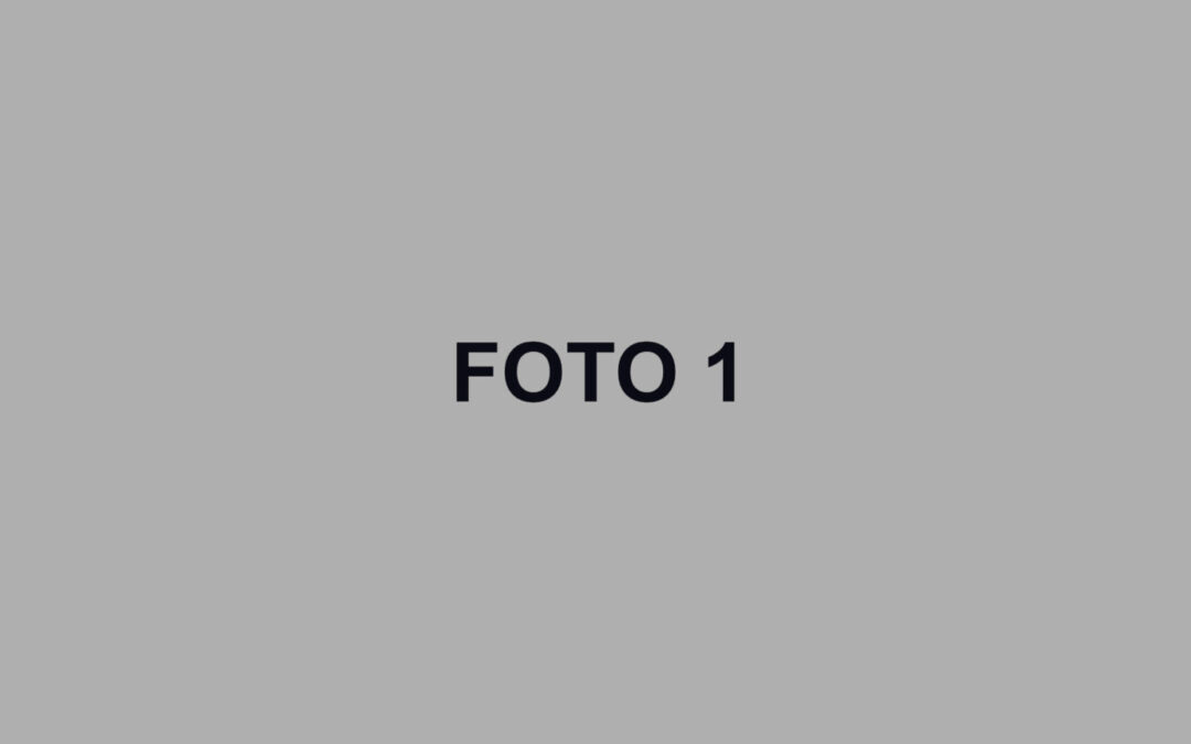FOTO 1