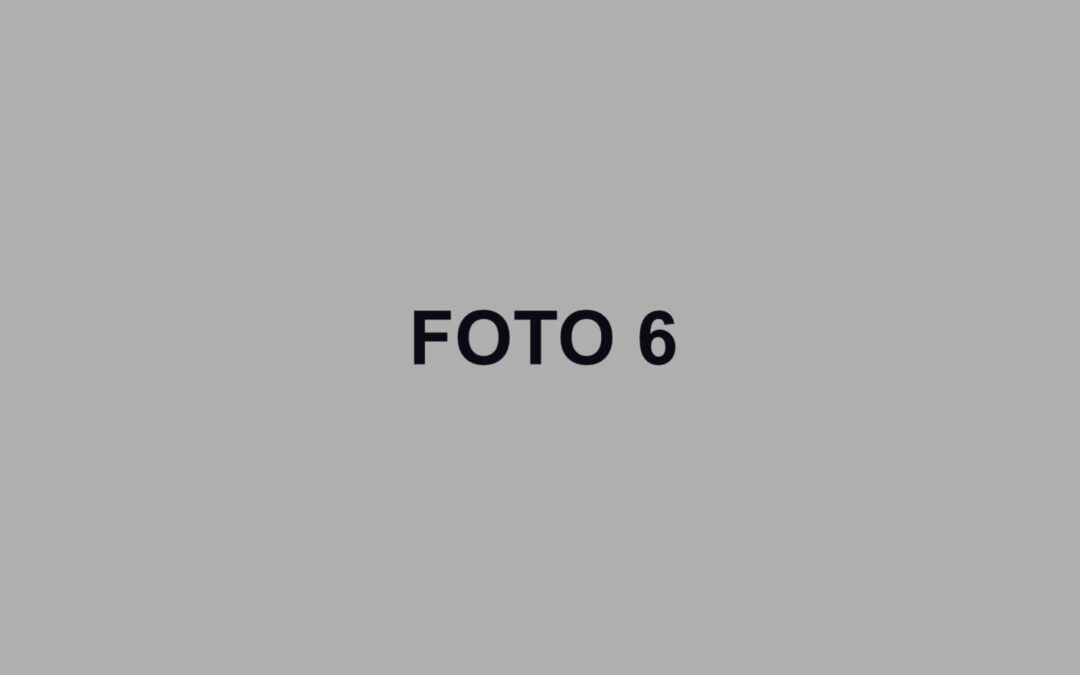 FOTO 6