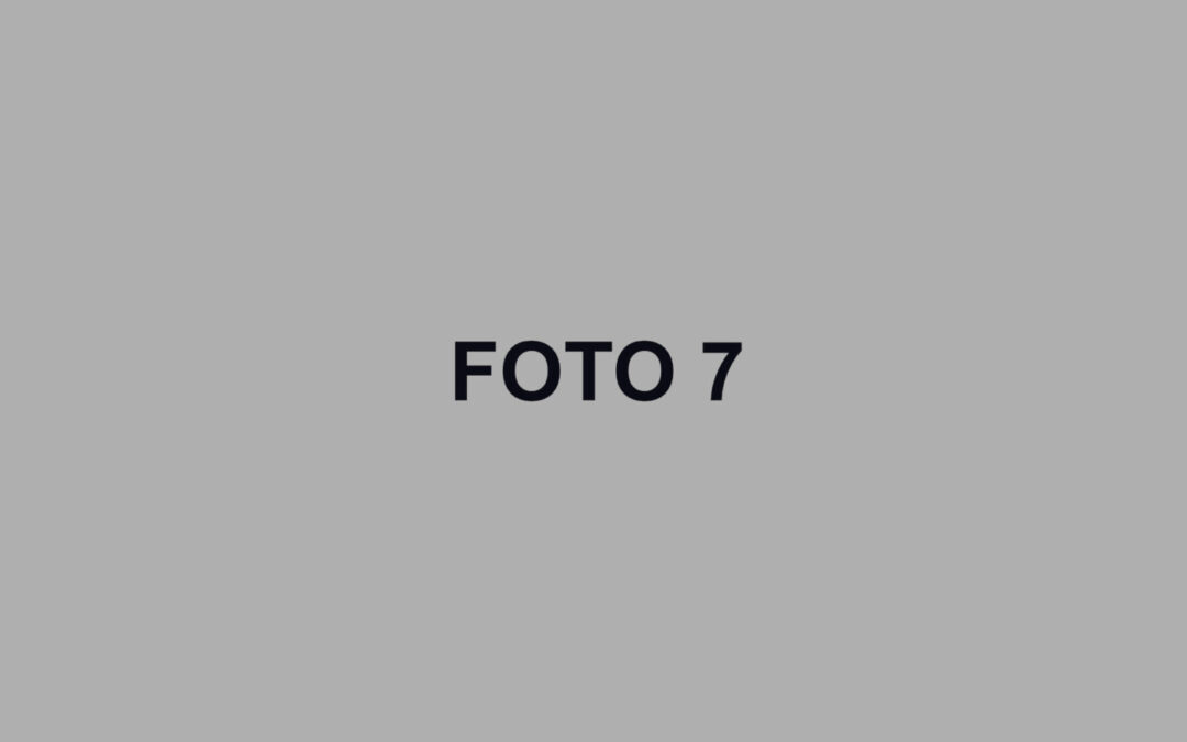 FOTO 7